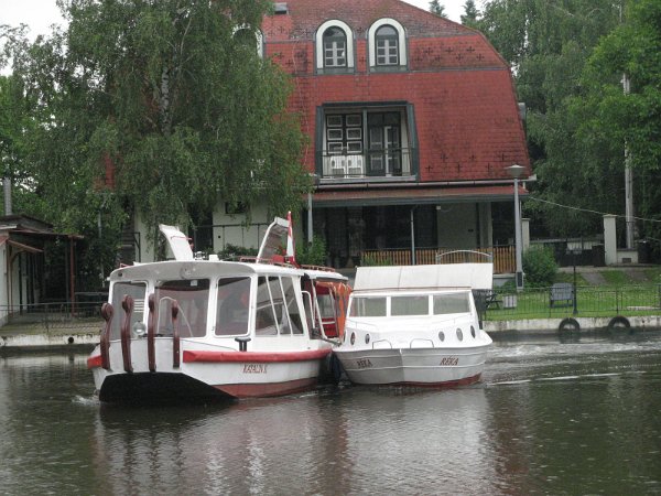 Szarvas 035